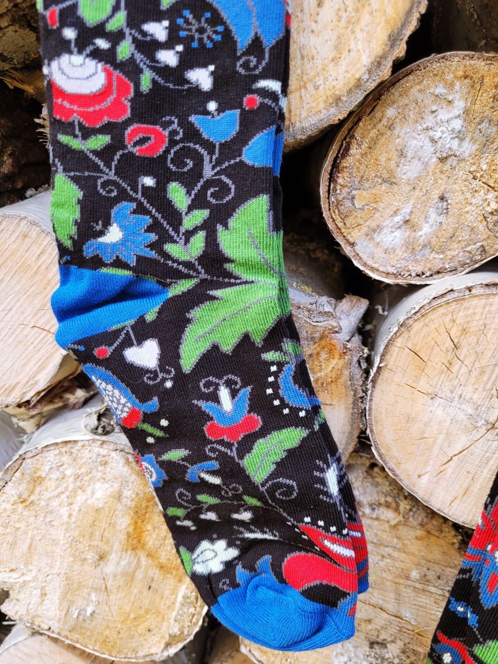 Strefle kaszubskie - wdzydze 2 Strefle kaszubskie wdzydze